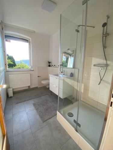 a bathroom with a shower and a sink at Bluestone Appartments - 26qm free and near parking in Blaustein