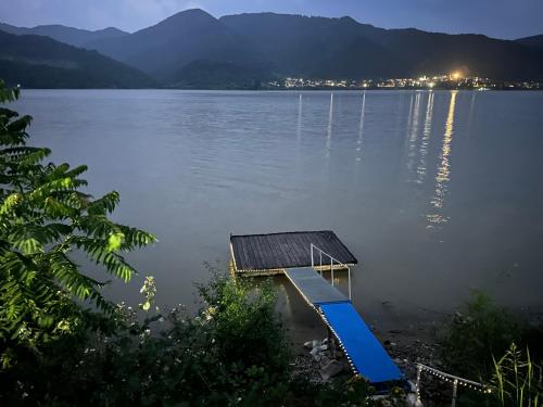 a dock in the middle of a lake at night at Orsova Gratca 164 in Orşova