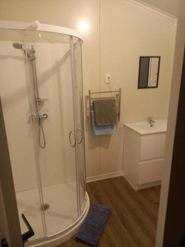 La salle de bains est pourvue d'une douche et d'un lavabo. dans l'établissement Rimu, à Ohakune