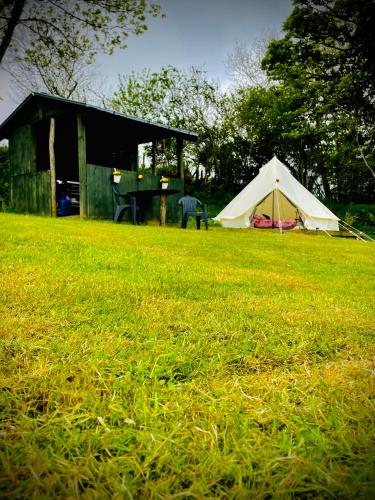 a tent and a table in a field of grass at Brambles Bell Tent in Carmarthen
