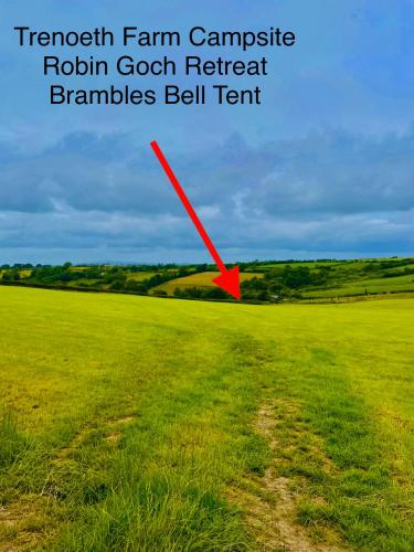 カーマーゼンにあるBrambles Bell Tentの野原を指す赤矢印の草原