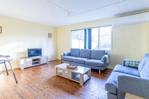 a living room with two blue couches and a tv at The South Sussex Cottage in Sussex inlet