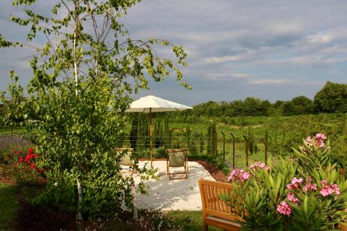 a garden with a bench and an umbrella and flowers at Relais Ca' Morenica in Valeggio sul Mincio