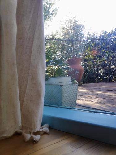 a window with a potted plant on a patio at Love Frequency - יורט קסום במתת in Mattat