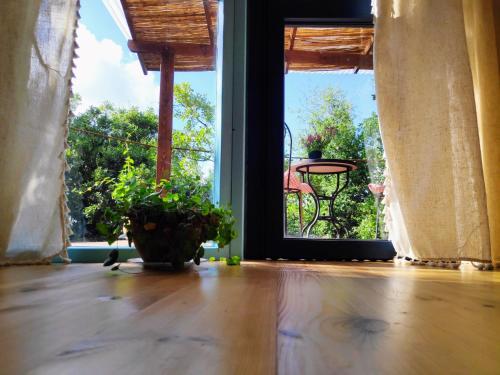 an open door with a potted plant in front of a window at Love Frequency - יורט קסום במתת in Mattat