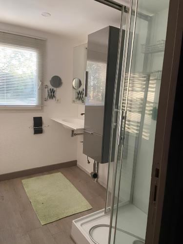 uma casa de banho com um chuveiro e um lavatório. em La Paillotte - 6 personnes em Pommeret