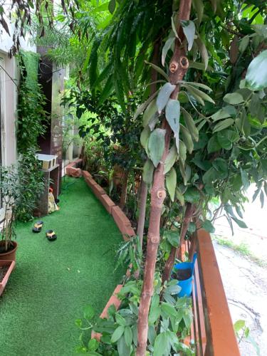 a garden with a banana tree and green grass at Rudram Hotel Yoga & Ayurveda Retreat in Rishīkesh