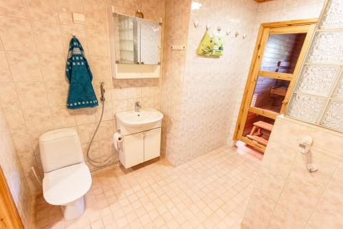 a bathroom with a toilet and a sink and a shower at Nord Riverside in Rovaniemi