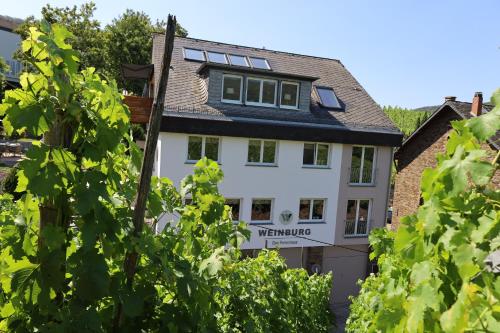 a white house with a bunch of green trees at Weinburg -Das Ferienhaus in Cochem