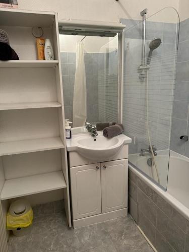 une salle de bain avec un lavabo, une douche et une baignoire dans l'établissement Le Cocon - 3 pièces Mulhouse Gare/Centre, à Mulhouse