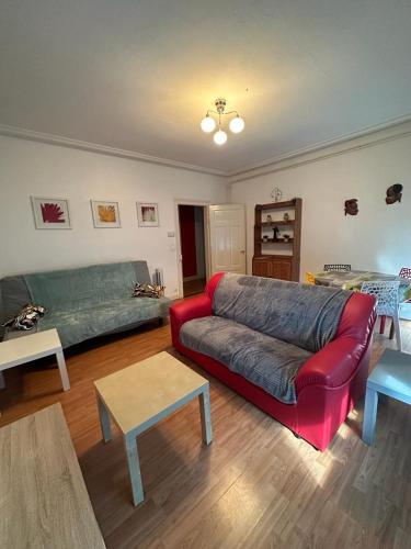 ein Wohnzimmer mit einem Sofa und einem Tisch in der Unterkunft Le Cocon - 3 pièces Mulhouse Gare/Centre in Mulhouse