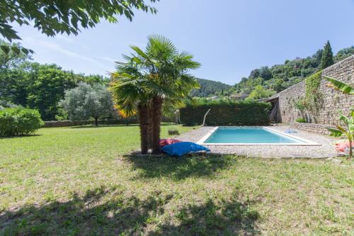 un jardin avec un palmier et une piscine dans l'établissement Le Grand Cèdre - Maison avec piscine privée, à Ribes