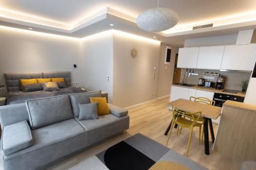 a living room with a gray couch and a kitchen at K46 Residence in Budapest