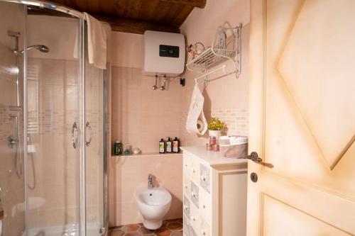 a bathroom with a shower and a toilet at Casa storica Austis, Sardegna in Austis