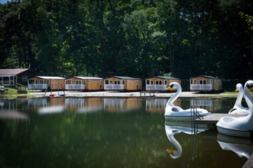 two swans are sitting in the water with houses at Randbøldal Camping & Cabins in Randbøl