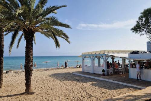 eine Palme am Strand neben einem Restaurant in der Unterkunft La casita de Lucentum in Alicante