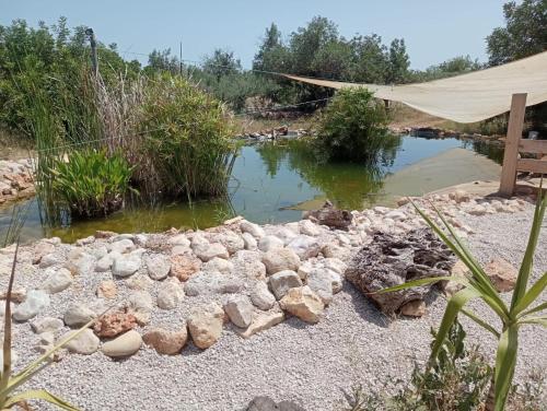 a pond with rocks in the middle of a yard at Yurta Bora Bora in L'Ametlla de Mar