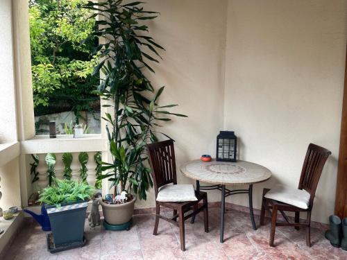 a table and chairs in a room with plants at Villa Palladio - Zimmer in Winden am See