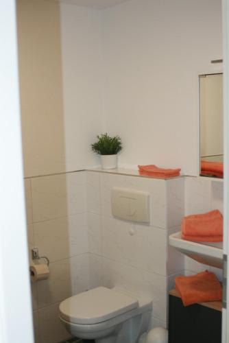 a bathroom with a toilet and a plant on a shelf at Ferienwohnung Jatta in Sankt Aldegund