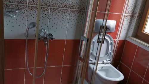 La salle de bains est pourvue d'une douche et de toilettes. dans l'établissement triplex villa, à Trabzon