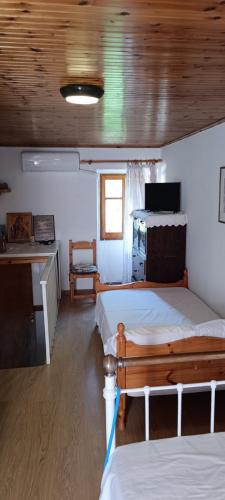 a room with two beds and a television in it at Athina Country House in Kouramádes