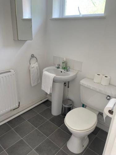 a white bathroom with a toilet and a sink at Family Bungalow sleeps 4 in Wellington