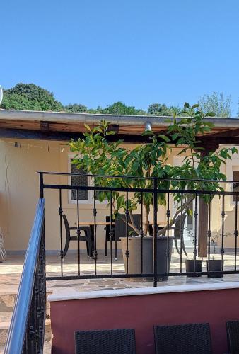 Apartments Sandra – Photos 2