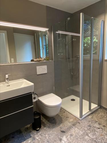 a bathroom with a shower and a toilet and a sink at LAKESIDE LODGE in Nonnenhorn