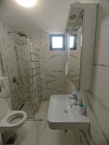 a bathroom with a sink and a shower and a toilet at Apartment Laterna in Budva