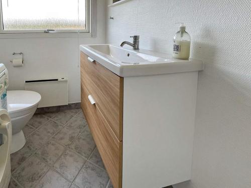 a bathroom with a sink and a toilet at Three-Bedroom Holiday home in Glesborg 47 in Fjellerup Strand