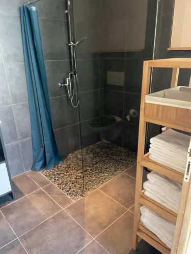 a shower with a glass door in a bathroom at Chateau pool house in Assat