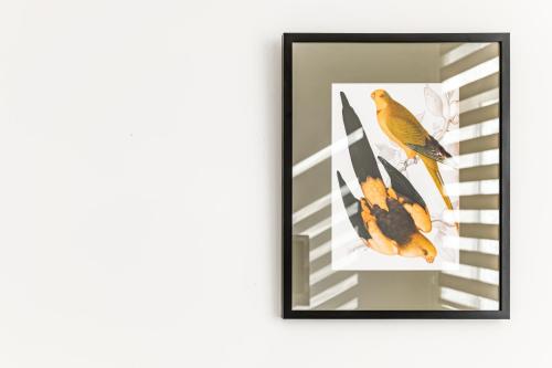 a framed picture of a bird on a branch at hotelise I Matata Apartment in Yerevan