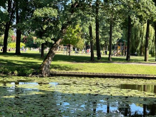 a pond in a park with a tree and a playground at Omulīgs dzīvoklītis Āgenskalnā in Rīga