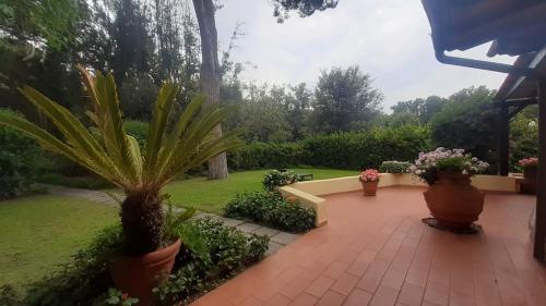 Gallery image of Villa Elisa in Punta Ala