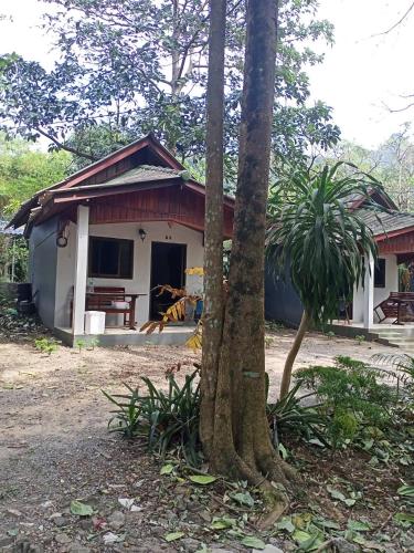 象島的住宿－Maleeya garden guest house，前面有一棵树的小房子