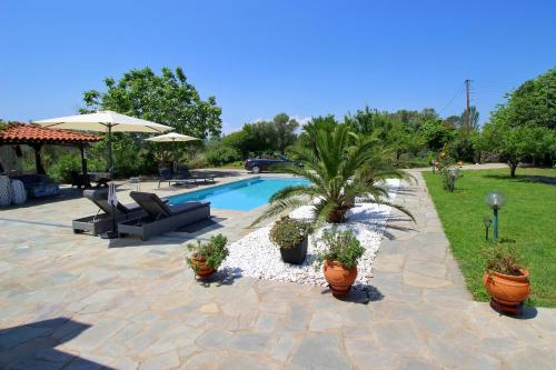 a pool with potted plants and a palm tree at Casa Mary di Mare in Epanomi