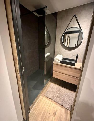 une salle de bain avec une douche, un lavabo et un miroir dans l'établissement Appartement Love Room/Jacuzzi, à Toulouse