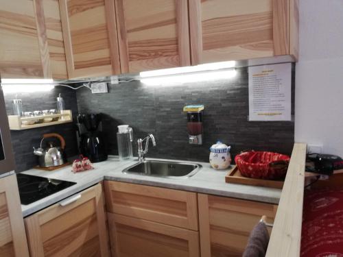 eine Küche mit einer Spüle und einer Arbeitsplatte in der Unterkunft Studio Praz de lys - Les pralyssimes in Taninges