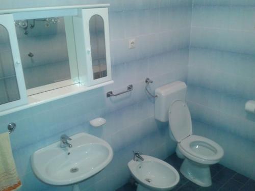 a bathroom with a white toilet and a sink at Apartman Pavin, Poljana in Poljana