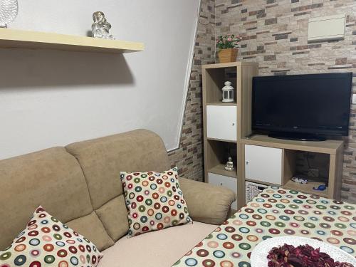 Μια τηλεόραση ή/και κέντρο ψυχαγωγίας στο Palmera