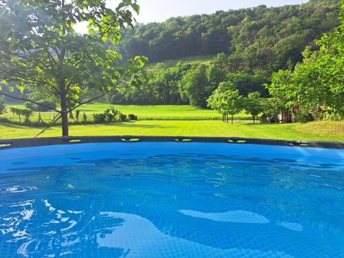 einen Pool mit Blick auf ein Feld und Bäume in der Unterkunft Apartments Petrin in Tolmin