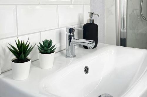 a bathroom sink with a soap dispenser and two plants at Royal Haven in Hillsborough