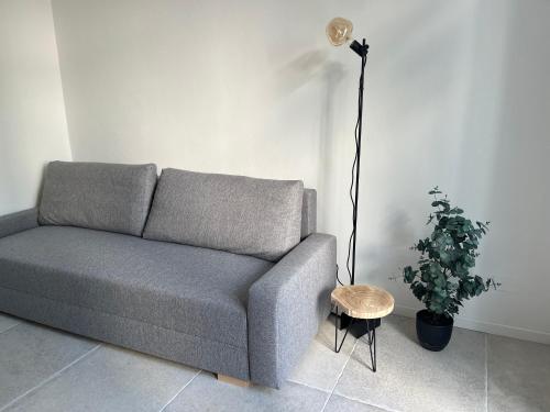 a gray couch in a living room with a plant at Casa Teresa in Riva del Garda