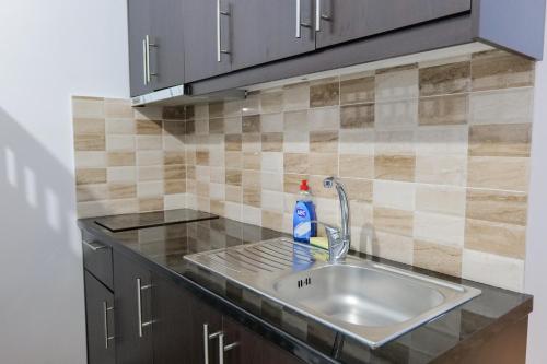 um lavatório de cozinha com uma garrafa de sabão em Vila Suljo em Ksamil