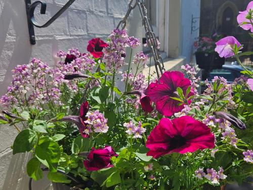 a bouquet of flowers in a hanging basket at Belmont Hotel Leicester in Leicester