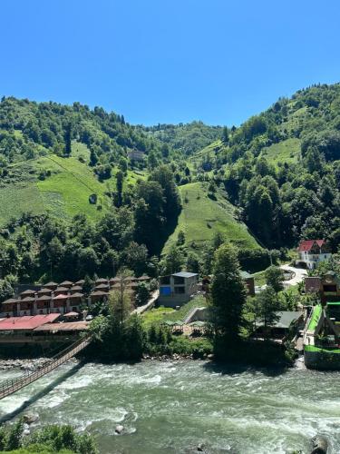 a river in a valley with green hills at Vadilife suit in Çamlıhemşin