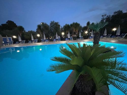 una gran piscina con una palmera frente a ella en Appartamenti Vacanze Minervino, en Vieste