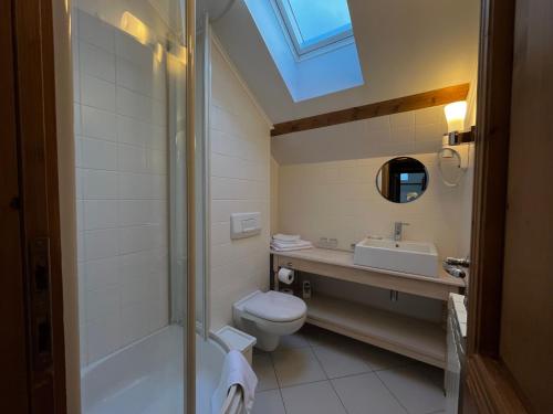 bagno con servizi igienici, lavandino e lucernario. di Pensiunea Tohanu Vechi a Zărneşti