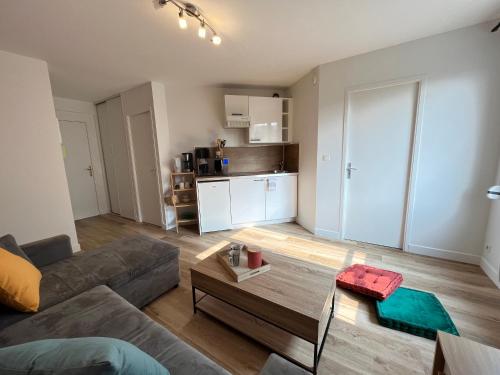 un salon avec un canapé et une table dans l'établissement Le Delos - Centre ville - Parking - 2 pers, au Mans