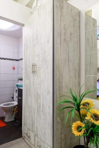 un baño con una puerta corredera de ducha con una planta en סטודיו חדשה ליד הים רחוב בוגרשוב en Tel Aviv